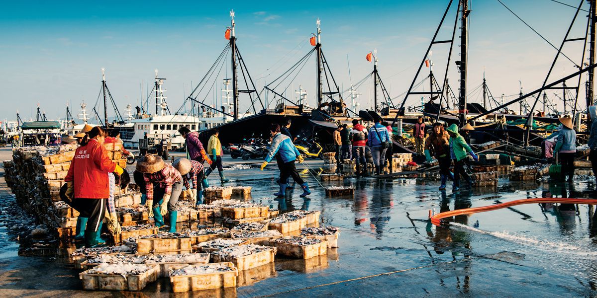 Food for Port The World of Chinese