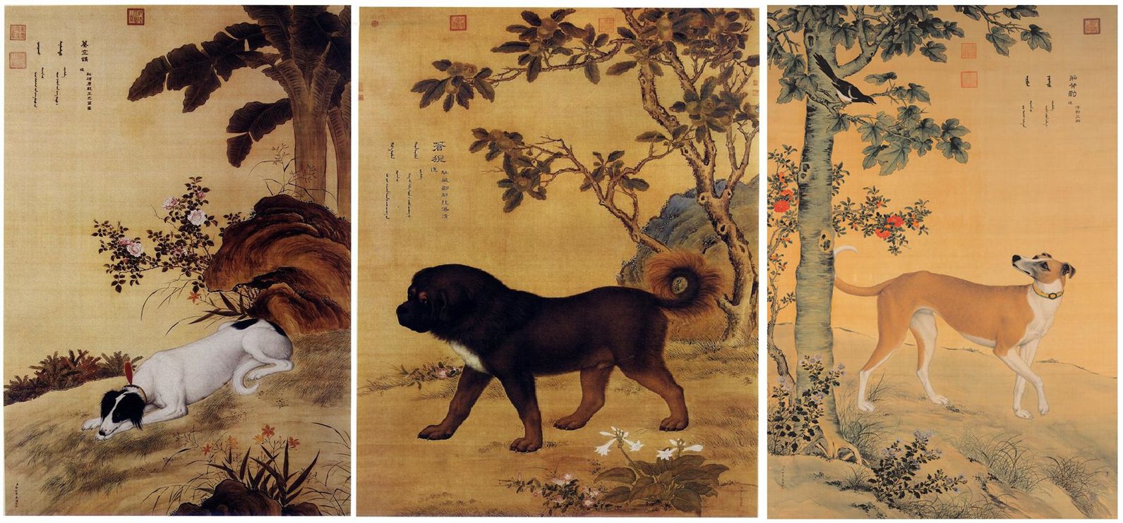 'Tails' of Ancient Dogs The World of Chinese