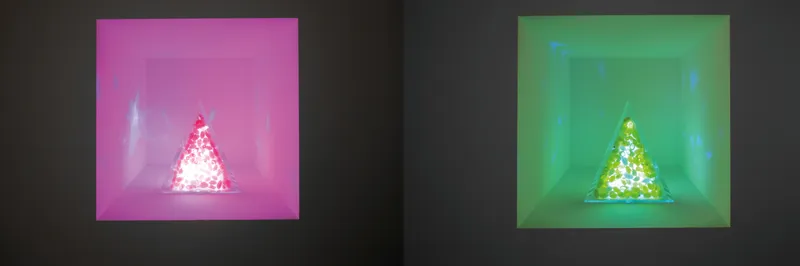 “Fluorescence,” fluorescent cocoons, LED, acrylic box, 2021