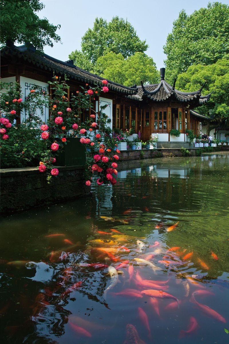 5-viewing-fish-at-flower-pond