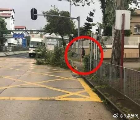 chow yun-fat kowloon typhoon hato