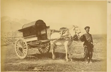 A_Chinese_Official’s_Horse-Drawn_Cart._China,_1875