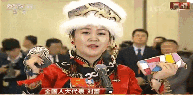Heilongjiang representative talks about tourism (via fish-skin bags) (ifeng)