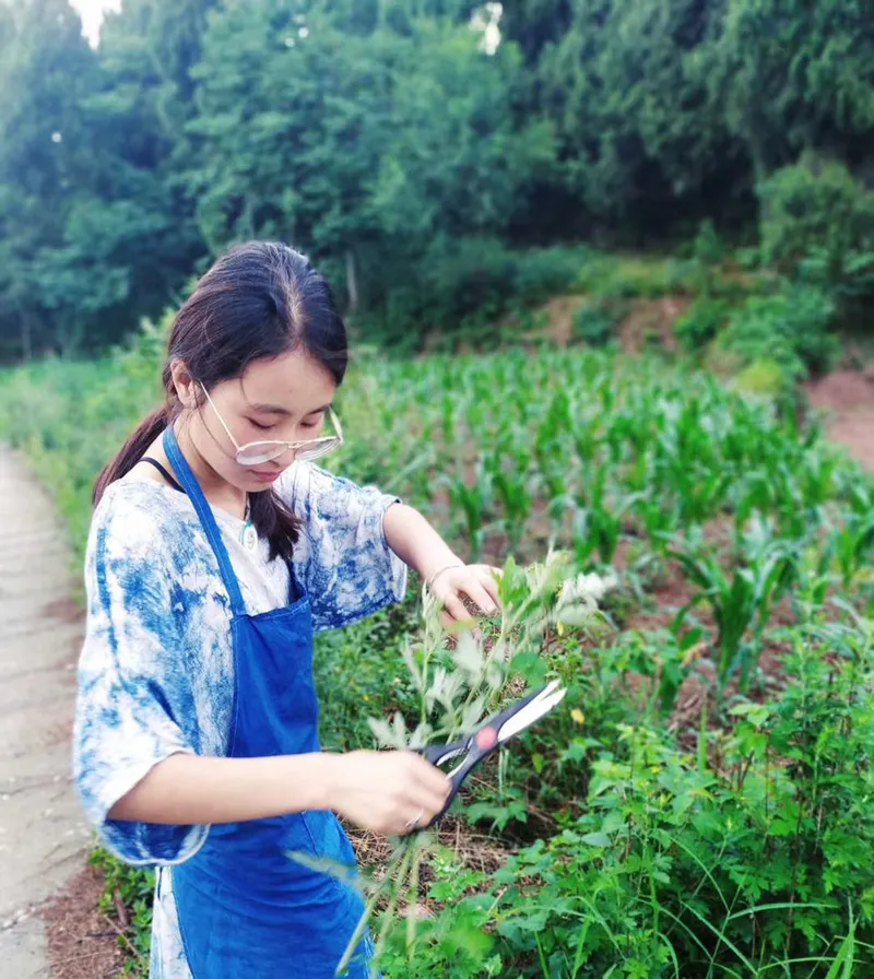 Liu cultivating vegetables in her garden