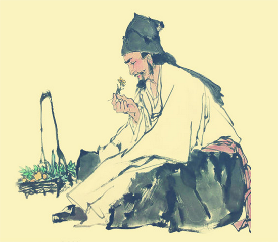 Li collecting one of many thousands of herb (Sohu)