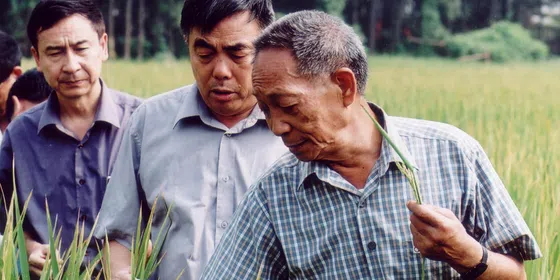 Yuan Longping the father of rice.