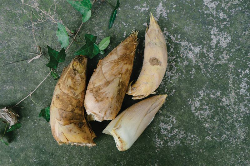 Bamboo shoots are another tasty gift of nature from the forest
