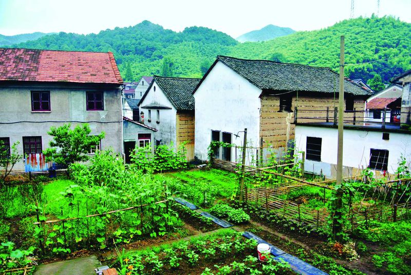 A typical Dongshen village farmer's yard