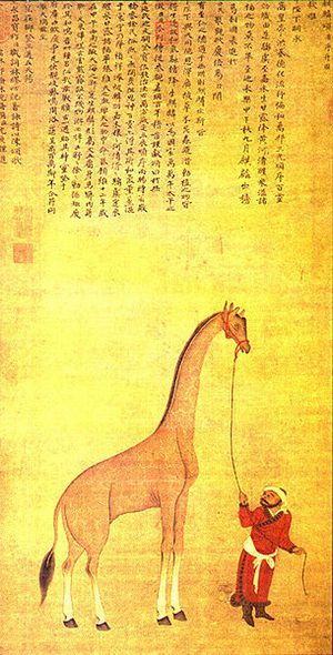 smaller-giraffe